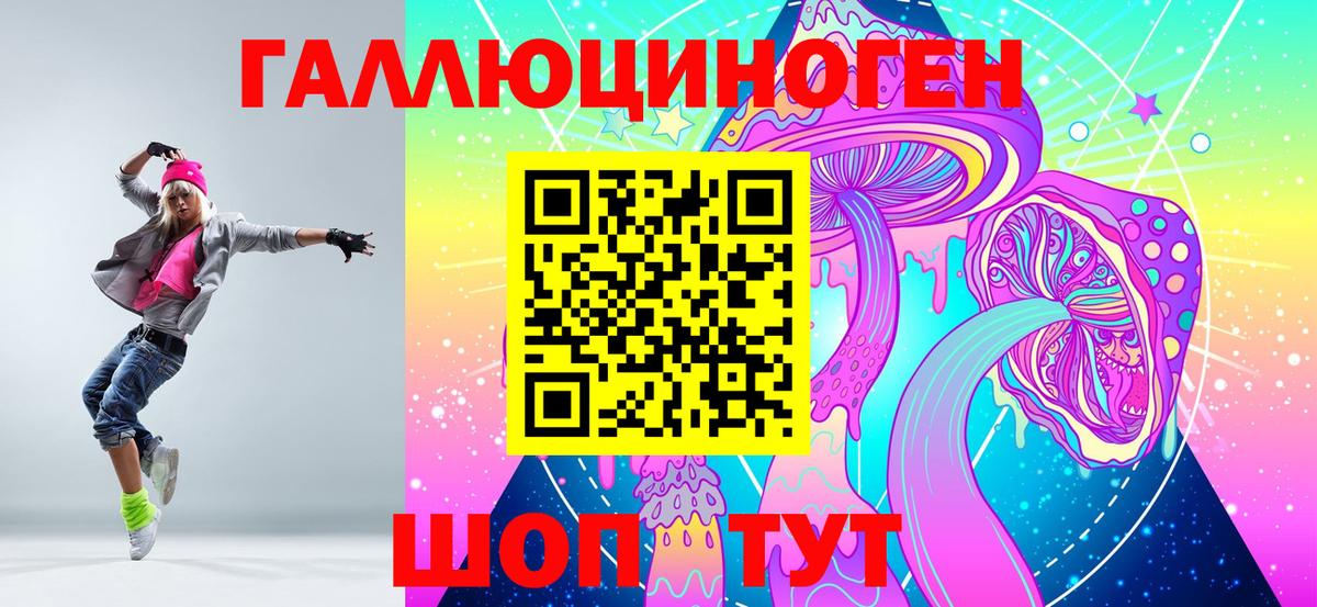 Псилоцибиновые грибы Psilocybine cubensis Одинцово